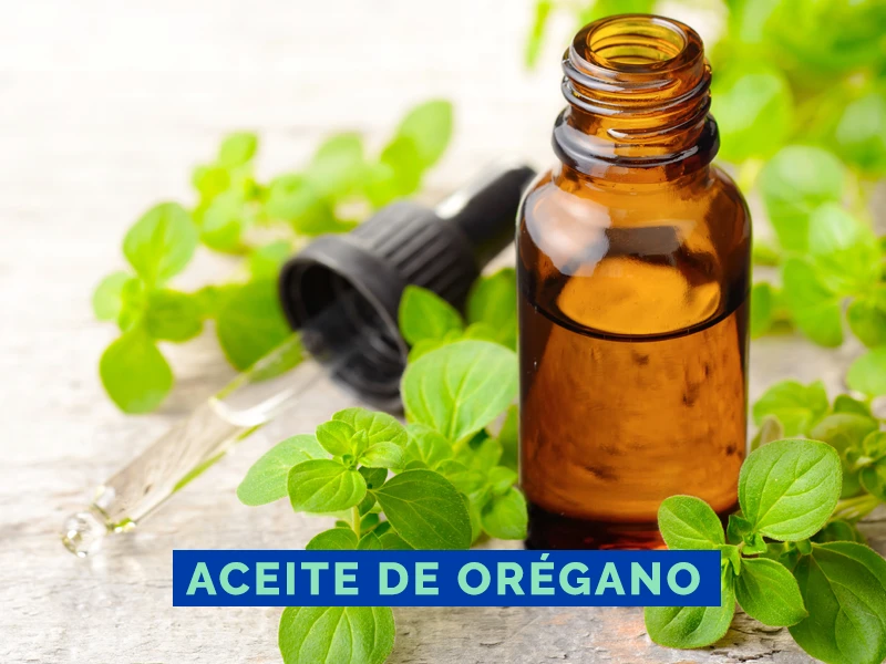 Aceite de orégano Danta’s Distribuidora Mendoza