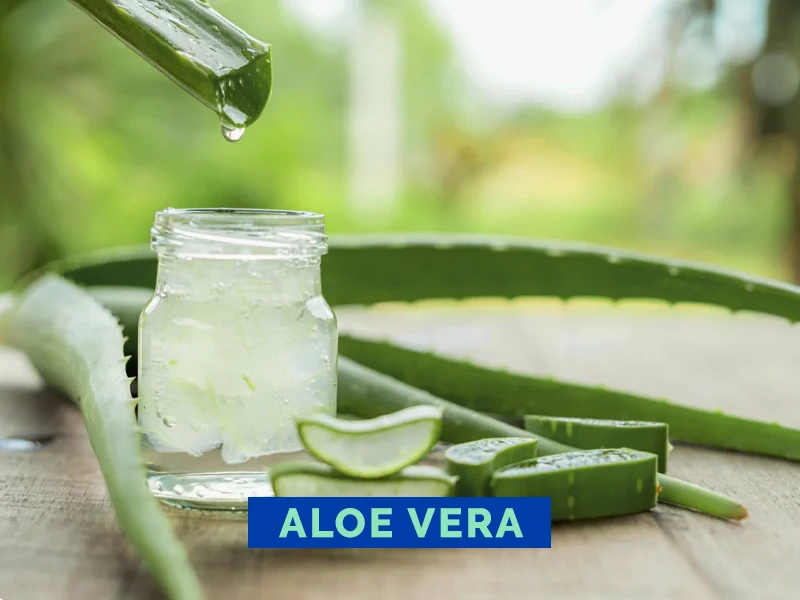 Aloe vera Danta’s Distribuidora Cuyo
