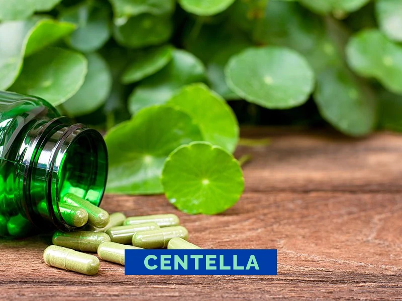 Centella Danta’s Distribuidora Mendoza