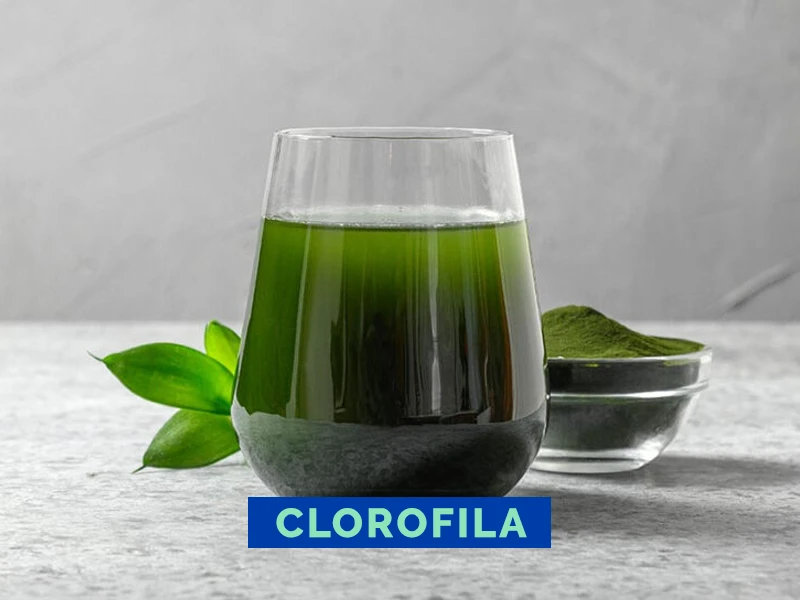 Clorofila Danta’s Distribuidora Cuyo