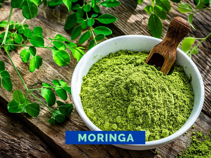 Moringa Danta’s Distribuidora Cuyo